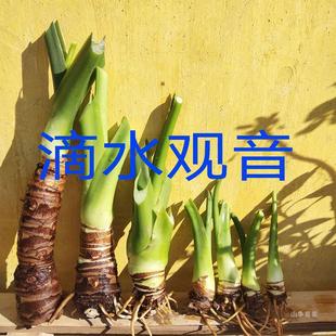 ���~��ˮ�^������ �������Ϙ��͏d�辰�҃ȾGֲ����ˮ���� ����ȩ