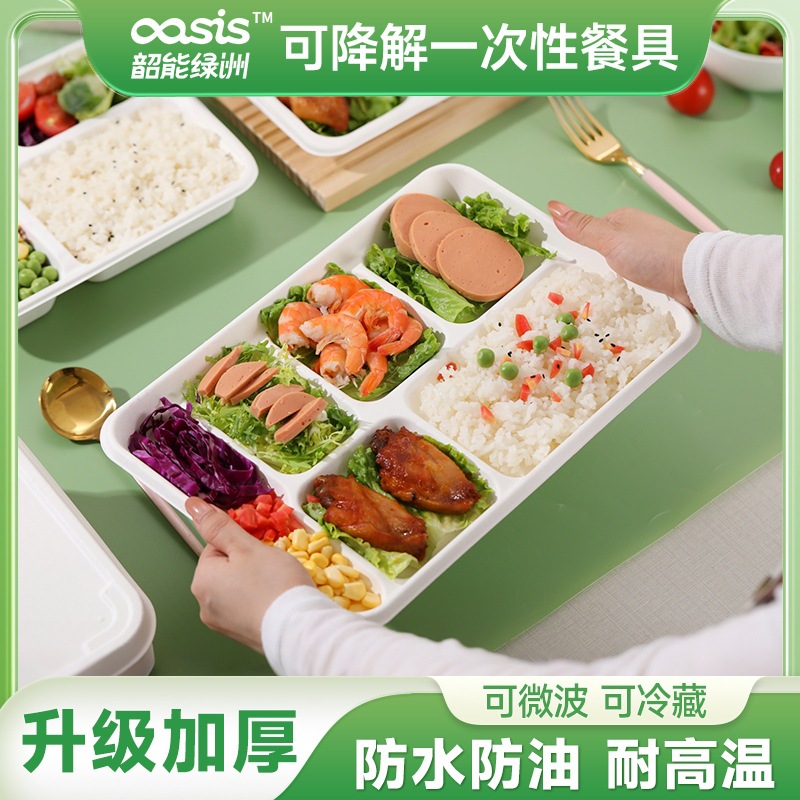 Shaogeng oasis fábrica al por mayor Pulpa de bagazo Pulpa de bambú Placa de seis rejilla respetuosa del medio ambiente vajilla desechable degradable compostable