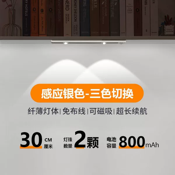 ♤♤◈◈♥♥Space Silver-30CM-night sensor + all-day sensor + always on + three-color switching + brightness adjustment ♤♤◈◈♥♥