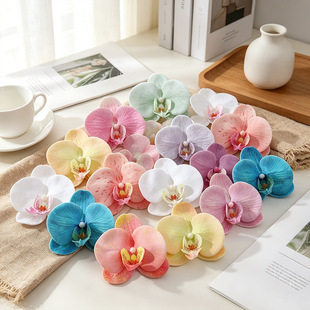 I 3D��ӡ�����m���^�l�A�^��ֶYdiy�Y���Ǻл�c��Y�b���
