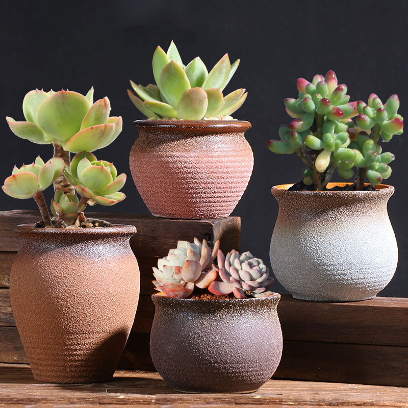 Maceta de carne helada suculenta maceta balcón hogar planta de carne cerámica especial arcilla pequeña olla fábrica directa al por mayor