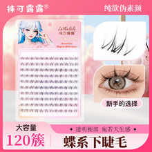 �����½�ë͸�������˵�ϵ��ϵ�Ĵ����˳���ֱ���������ٽ�ë��Ȼ