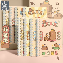 ins高颜值线圈本本子加厚可爱笔记本A5记事简约少女心高中生作业