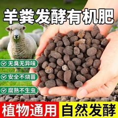 羊粪发酵有机肥蔬菜纯羊粪蛋颗粒肥有机肥料内蒙古月季花专用土壤