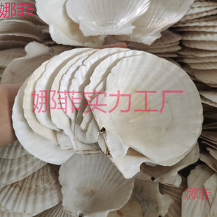 ���������ط۽z��ɫ����ؐ������ؐ�����İ뚤���бPؐ�����u