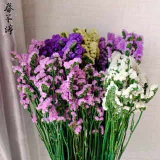 永生花干花勿忘我云南厂家批发勿忘我永生花干花花束客厅家居装饰
