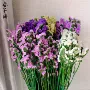 云南客厅家居干花永生花