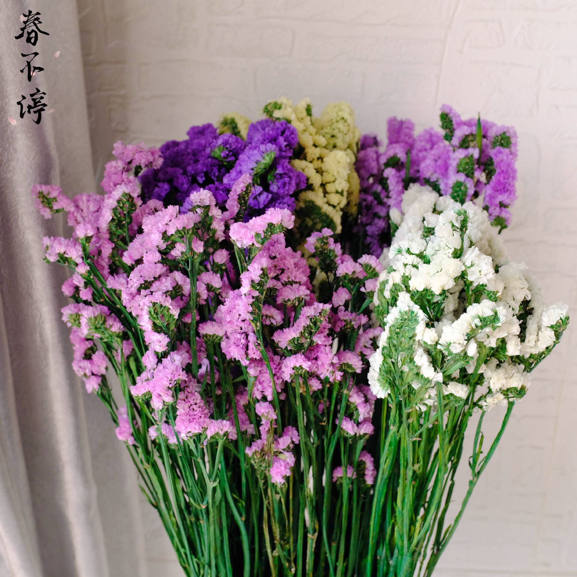 永生花乾花勿忘我雲南廠家批發勿忘我永生花乾花花束客廳家居裝飾