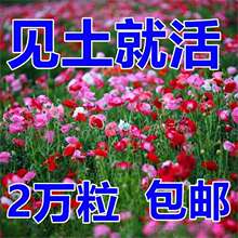 ���u�����˻��N���Ӷ����ͺ��_�����N����Ҋ���ͻ��ļ������˷N��