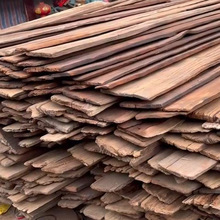 Ƭ⠝LobľFɼľTT^ľ