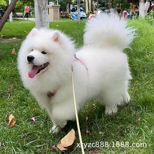 ����ҎȮ�᡿���N�_ĦҮ��Ȯِ���ܰ��ǌ��ﹷ�����w΢Ц��ʹ