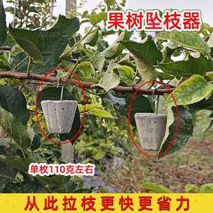 ���䉋֦����֦��ˮ����N��֦���͹��@�����辰ͨ��