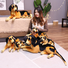 ������Ȯ������ż���c���ǹ�ë�q��߃�ͯ�����������նY��