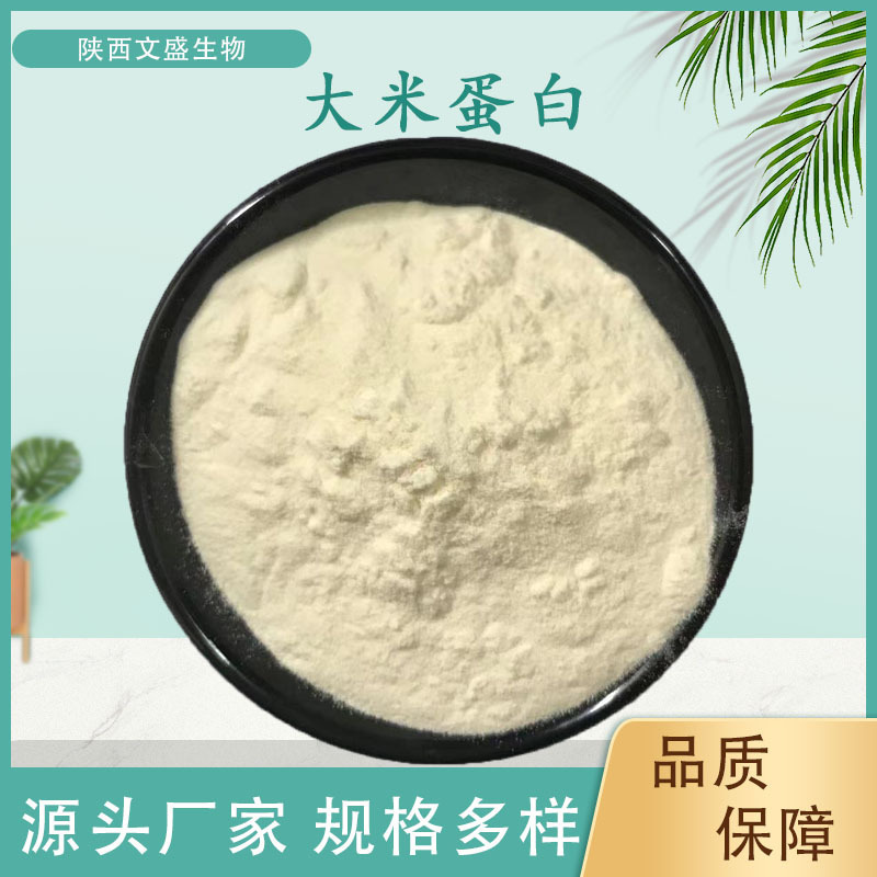 Rice Protein, Hydrolyzed Protein Powder, Rice Flour, Water-Soluble Rice Powder, Rice Extract, and Rice Starch