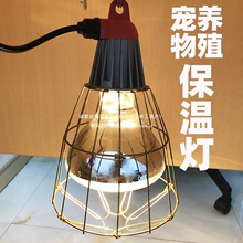 �F�����iȡů�u��ȡů���،������������J���u���b��ȡů���ݟ�