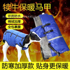 牛犊马甲小牛过冬防寒衣服牛羊加厚加绒防水保暖防风外套犊牛保温