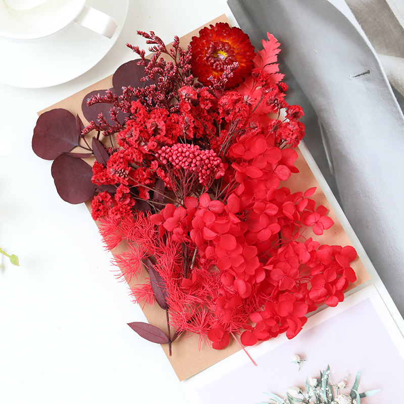 Flor seca flor eterna marco de fotos en relieve paquete de material flotante hecho a mano aromaterapia ventilador redondo actividad salón grupo edificio transfronterizo al por mayor