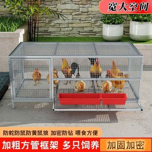 �u�\�����҃ȷ��S�����Ԅӳ�����B�\�F�z�W��������ȫ��\�Bֳ�\
