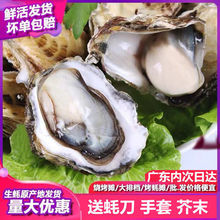 ���r����r��һ��5��10�� 12����Ї����/�V�|ʡ/�����П�����