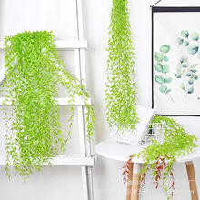 �羳�������~�^�����L�ٗl�������l�ڒ��c�҃ȾGֲ�����b����l