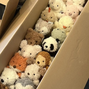 �ɐ�ins��ë���﹫��С����żë�q���ץ�C����8����ż��c�����Y