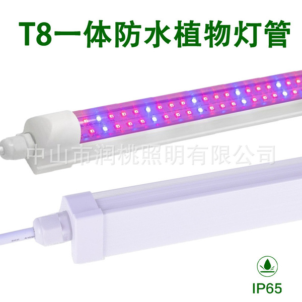 LED plant lamp