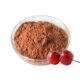 Factory Direct Supply Hawthorn Powder Food Grade Bulk Hawthorn Extract Beverage Candy Raw Material Hawthorn Fruit Powder Wholesale