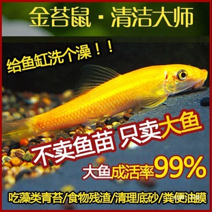 ��̦���坍�~�׳������~�~������̦���~�Ꭷ�^�p�~�����~�~���w