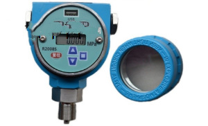 无源压力记录仪 型号:MK188-CY200库号：M384232