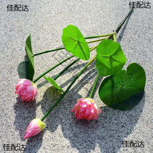 ��֧�ɻ�ɏ�������~�������ϻ��͏d�Ƶ��쾰С�ٻ��b���s
