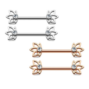A Pair of European and American Style Fashionable 316 Stainless Steel Nipple Rings with Versatile Clasps