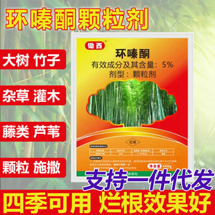 �hຆL���ݠ������s�䠀��������ș����ľ�s�ݭh�ͪ�����ӳ��݄�