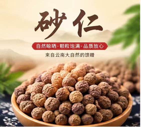 Dried Amomum Fruit Sha Ren 1000g Bag Traditional Chinese Herb for Cooking and Decoction overview