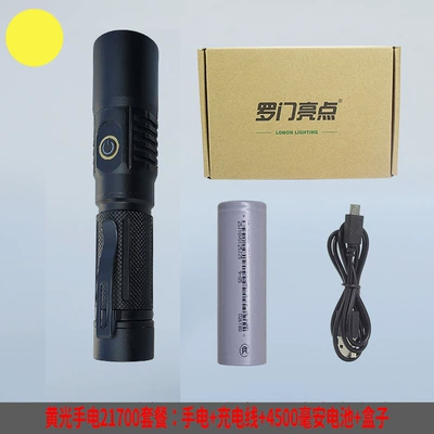 Fixed Focus, with Clip, UV fənərlər - 5050-yellow-light-set-including-4500-mah-21700-battery