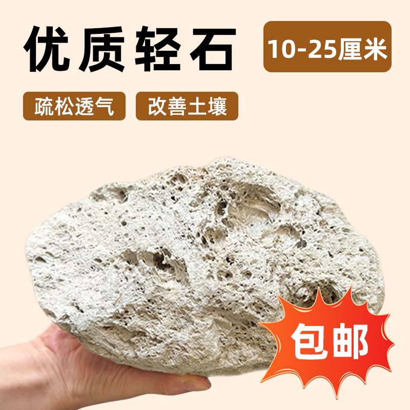【15-25cm】50 ลิตร / ส่งฟรี