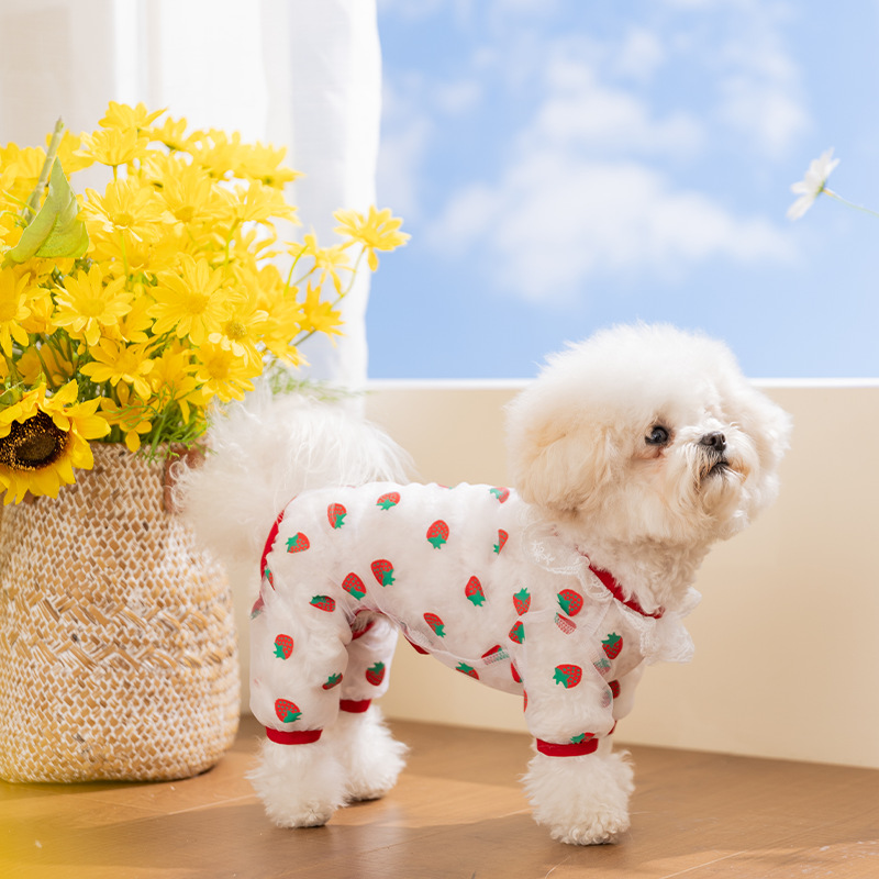 Primavera y verano impresa delgada fresca y transpirable tela de malla de cuatro patas que osos peluche ropa de perro y gato ropa de mascotas al por mayor image 1