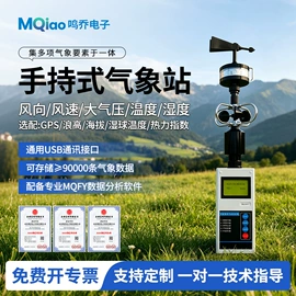 其他仪器仪表;自动气象站;风速风向仪