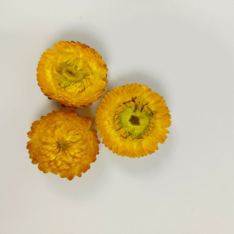 麦わら菊の花の頭の乾いた花の七色の菊の頭のDIYの材料は自然な真の花の雲南の源の工場を包んで卸売りします。|undefined