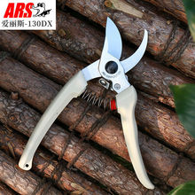 ARS130DX��֦��@ˇ���߼�����֦���������֦��ʡ����