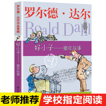 好小子童年故事 罗尔德达尔作品典藏儿童文学 罗尔德达尔的作品书