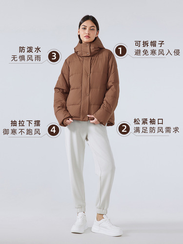 Women's Down Jackets for Autumn and Winter, Hooded Casual Outerwear, High-end Sporty Top, DAW160