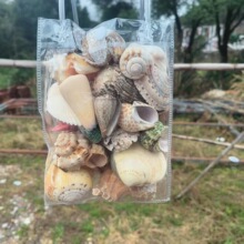 ��Ȼؐ�����ݺ����~���쾰�bҾӔ[����ؐؐ��diy����