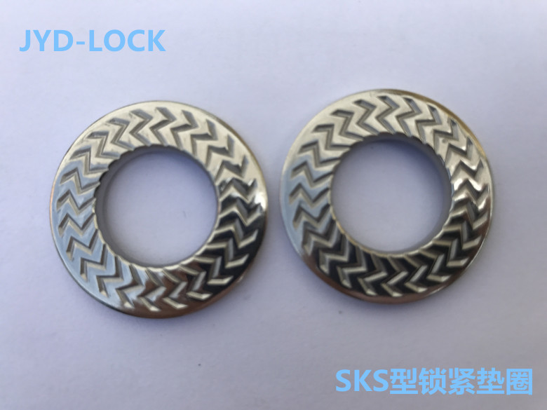 不锈钢法式垫圈  SKM-M6规格