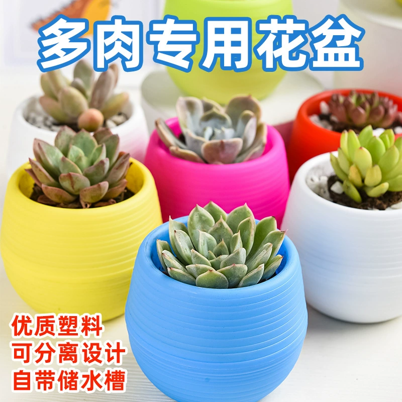Оптовая Продажа с фабрики маленький цветочный горшок для суккулентов Мини-пластиковый Многоцветный Бесплатный подходящий каменный цветочный горшок для таблеток