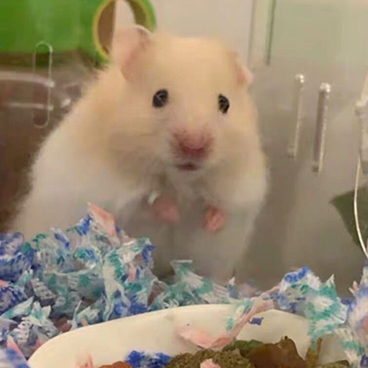 385a762e-353a-4692-9feb-b7925610388c.jpe