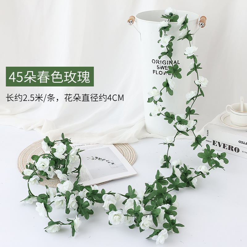 45 봄 장미 흰색