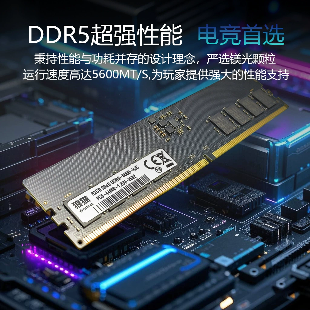 RAM (wolfcat) DDR5 8GB, 4800–5600 MHz, CL40 desktop memory modules