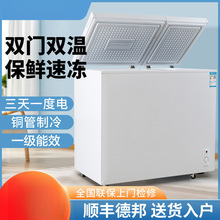 一级能效双门冰柜家用双温小冰柜小型冷柜冰箱双开门冷冻柜专用