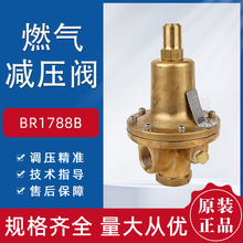 REGO����BR1788B������Ȼ��K�˹�·�{����LNG�ƿ�ܵ��{���y