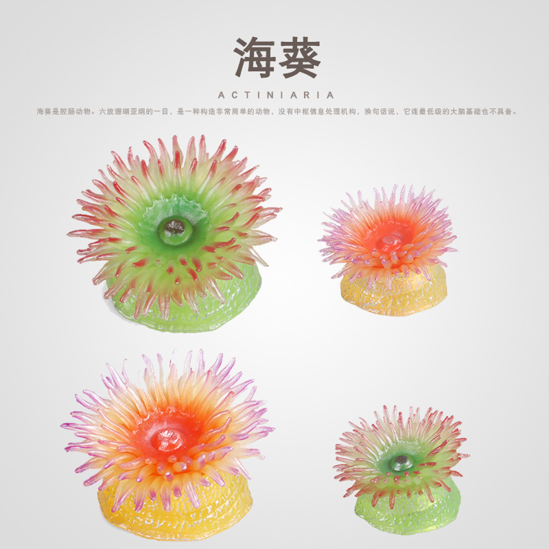 Children's enlightenment cognitive sea anemone simulation marine animal model seabed creature sea anemone fish tank landscape decoration ornament